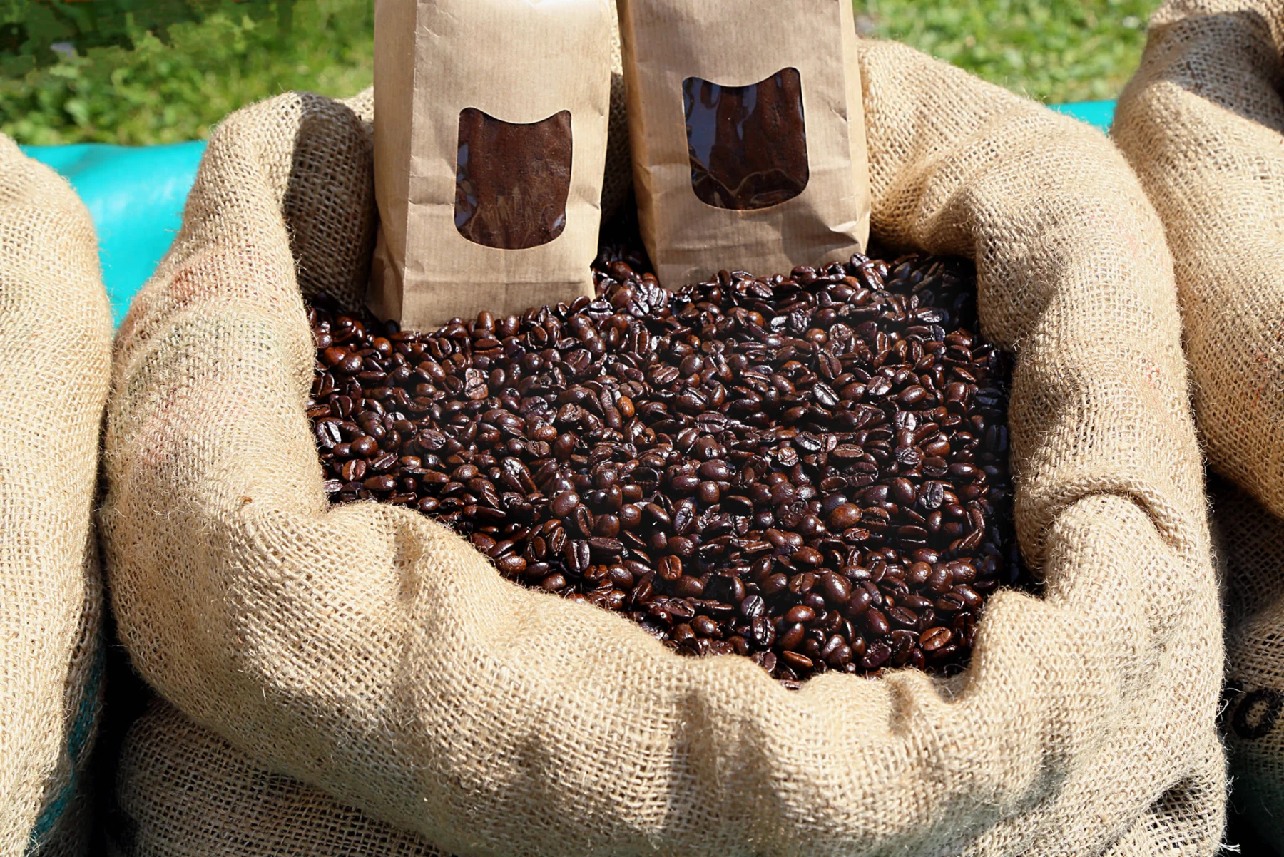 Haitian Coffee Beans 1 lb